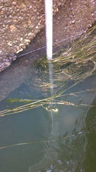 �ϲ���ˮ��ˮ�YԴ�Ŀ-�����