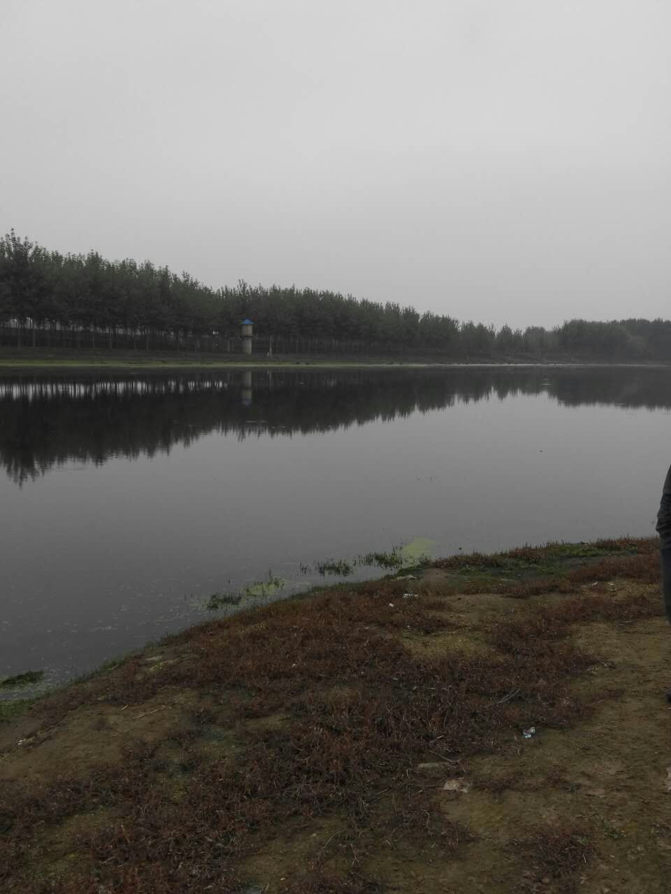 ɽ��ʡ����Ȫ��ˮ�ĔU�������O��